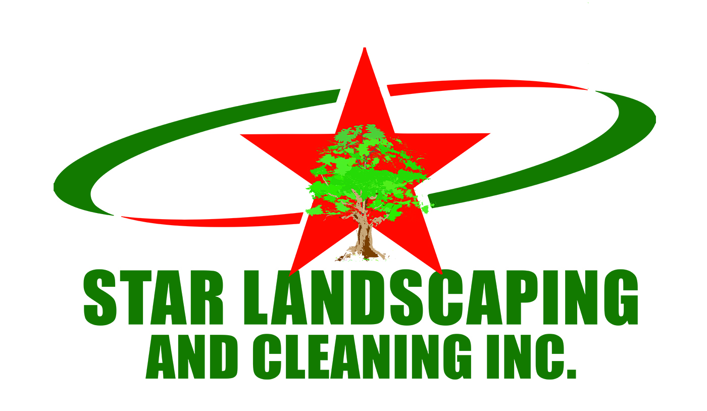 Starland Cleaning